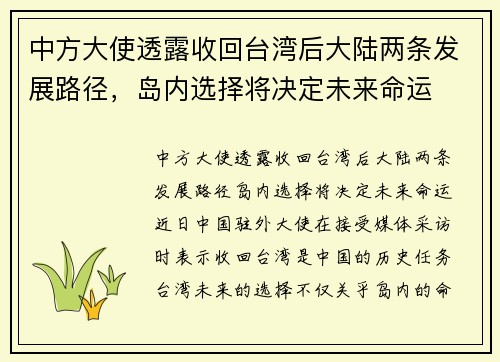 中方大使透露收回台湾后大陆两条发展路径，岛内选择将决定未来命运