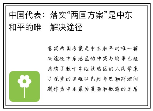 中国代表：落实“两国方案”是中东和平的唯一解决途径