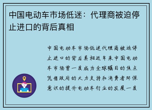 中国电动车市场低迷：代理商被迫停止进口的背后真相