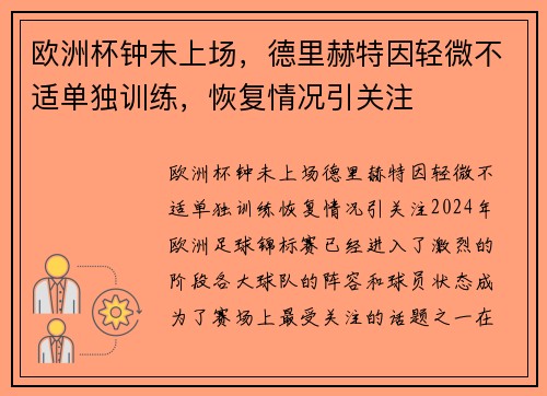 欧洲杯钟未上场，德里赫特因轻微不适单独训练，恢复情况引关注